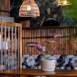 Lulu Poke Sushi Inomhus