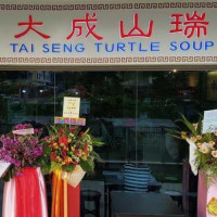 Tai Seng Turtle Soup food