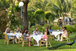 El Jardin Del Calfa food