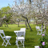 Restaurang Rosängen Inomhus