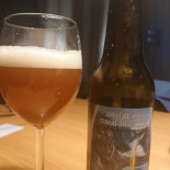 Cirkus At The More Mat