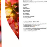 Linnea Basilika Löddeköpinge Meny