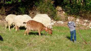 Ferme Auberge De Malice food