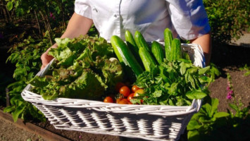 Wij Trädgårdar Mat