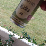 Haestvedagrillen Inomhus