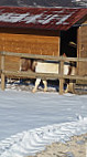 Agriturismo Bernardi outside