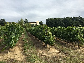 Chateau de Sanse