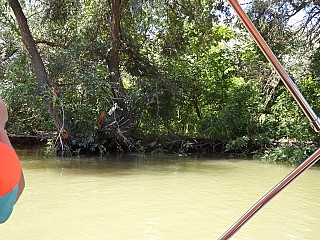 Laguna Albastra