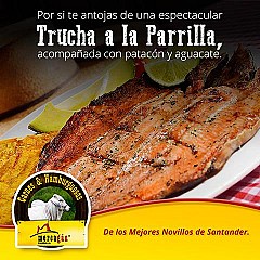 Mercagan Parrilla