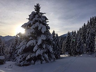 Alpengasthof BÄrsteinalm