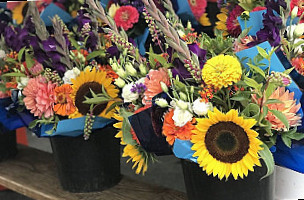 Bloomington Community Farmer's Market