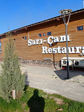 Sarı Çam