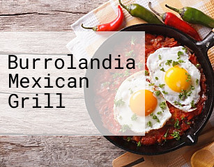 Burrolandia Mexican Grill