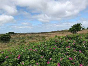 Morsum/sylt