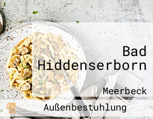 Bad Hiddenserborn