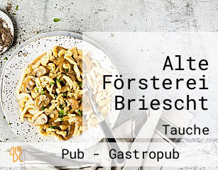 Alte Försterei Briescht