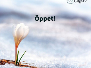 Nya Skaergaardscafeet I Holmsund