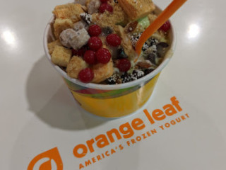 Orange Leaf Frozen Yogurt