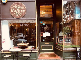 The Maytree