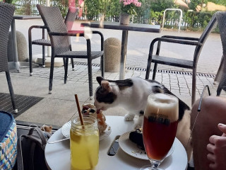 Miau Cafe