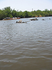 Manglar De Monterrico