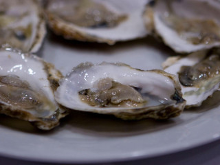 Ipswich Shellfish Fish Market