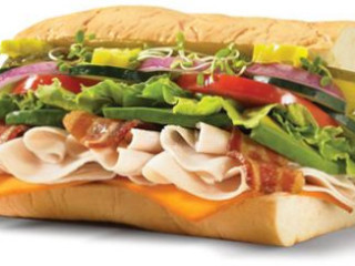 Submarina California Subs