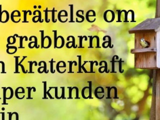 Kraterkraft Ekonomisk Förening