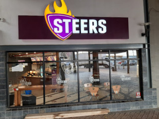 Steers