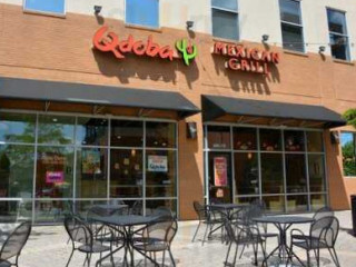 Qdoba Mexican Grill