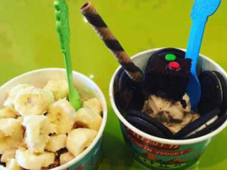 Tutti Frutti Frozen Yogurt