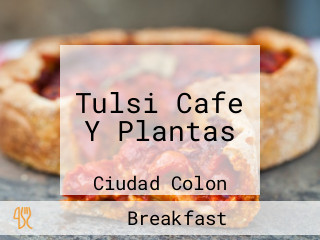 Tulsi Cafe Y Plantas