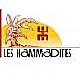 Les Hammadites