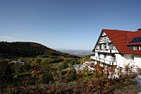 GrÜner Baum Brandmatt