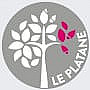 Le Platane