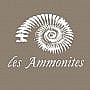 Les Ammonites