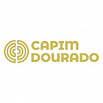 Capim Dourado