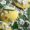 Special Dhokla (2 Pcs)