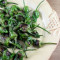 Padron Peppers