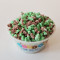 Mint Chocolate Mini Melts