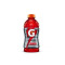 Gatorade Fruit Punch (28 Oz)