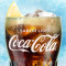 Coca Cola Sabor Light Sin Calor Iacute;As