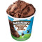 Ben Jerry,S Choklad Fudge