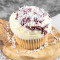 Blueberry Cheesecake Cupcake