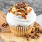 Caramel Pecan Cupcake