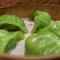 Spinach Shrimp Dumpling