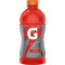 Gatorade Fruit Punch 28 Oz.