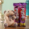 Fuse Chocolate With Teddy Gift