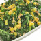 Medelhavet Chop Kale Sallad