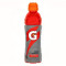 Gatorade Fruit Punch Sports Drink